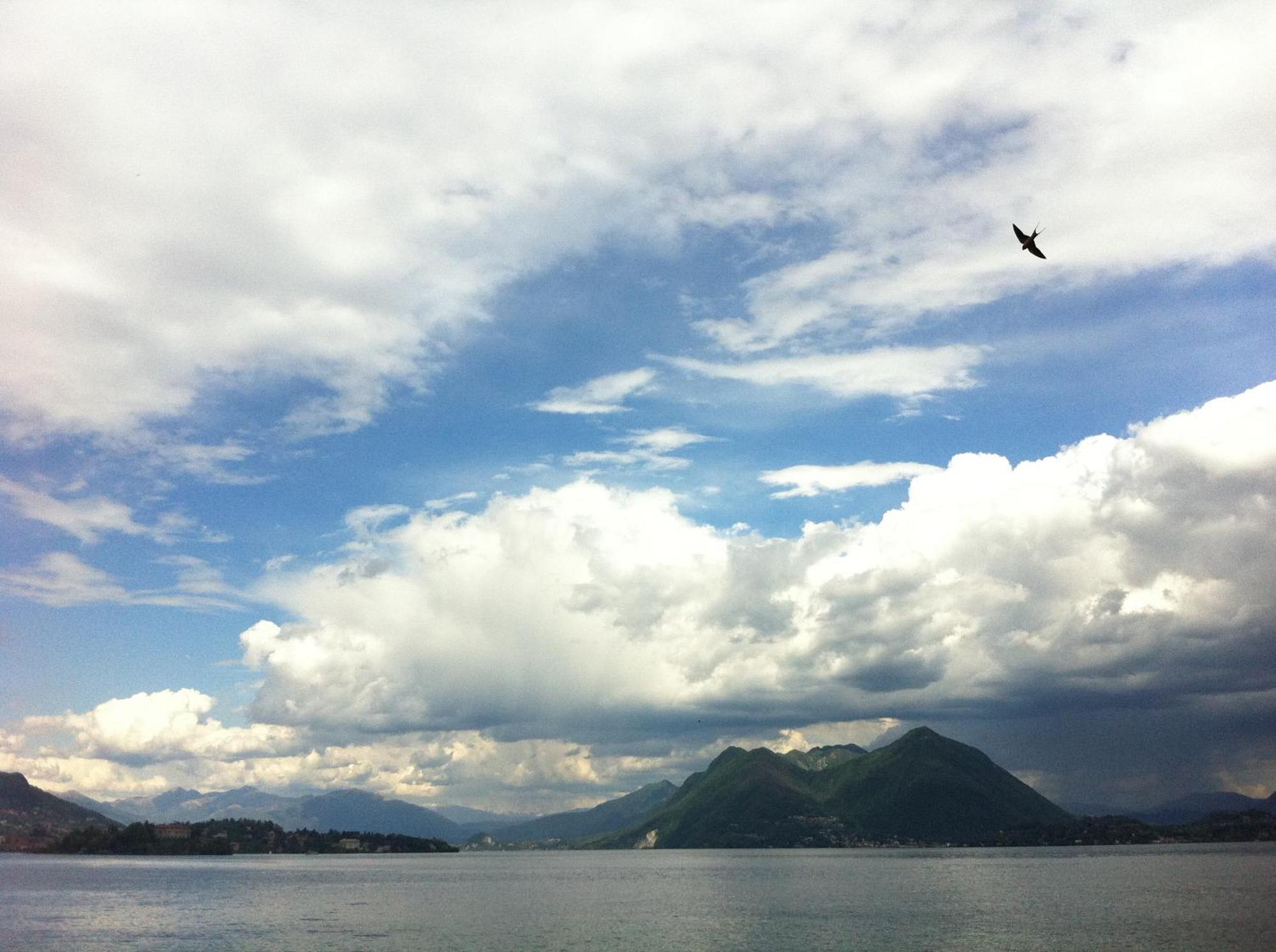 Residenza Le Camelie Apartment Oggebbio Bagian luar foto