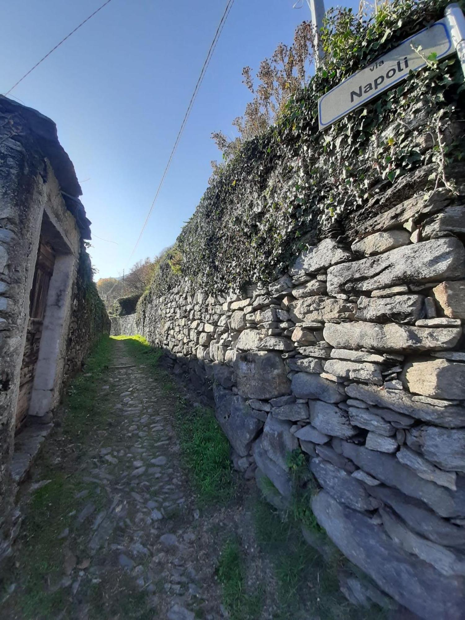 Residenza Le Camelie Apartment Oggebbio Bagian luar foto