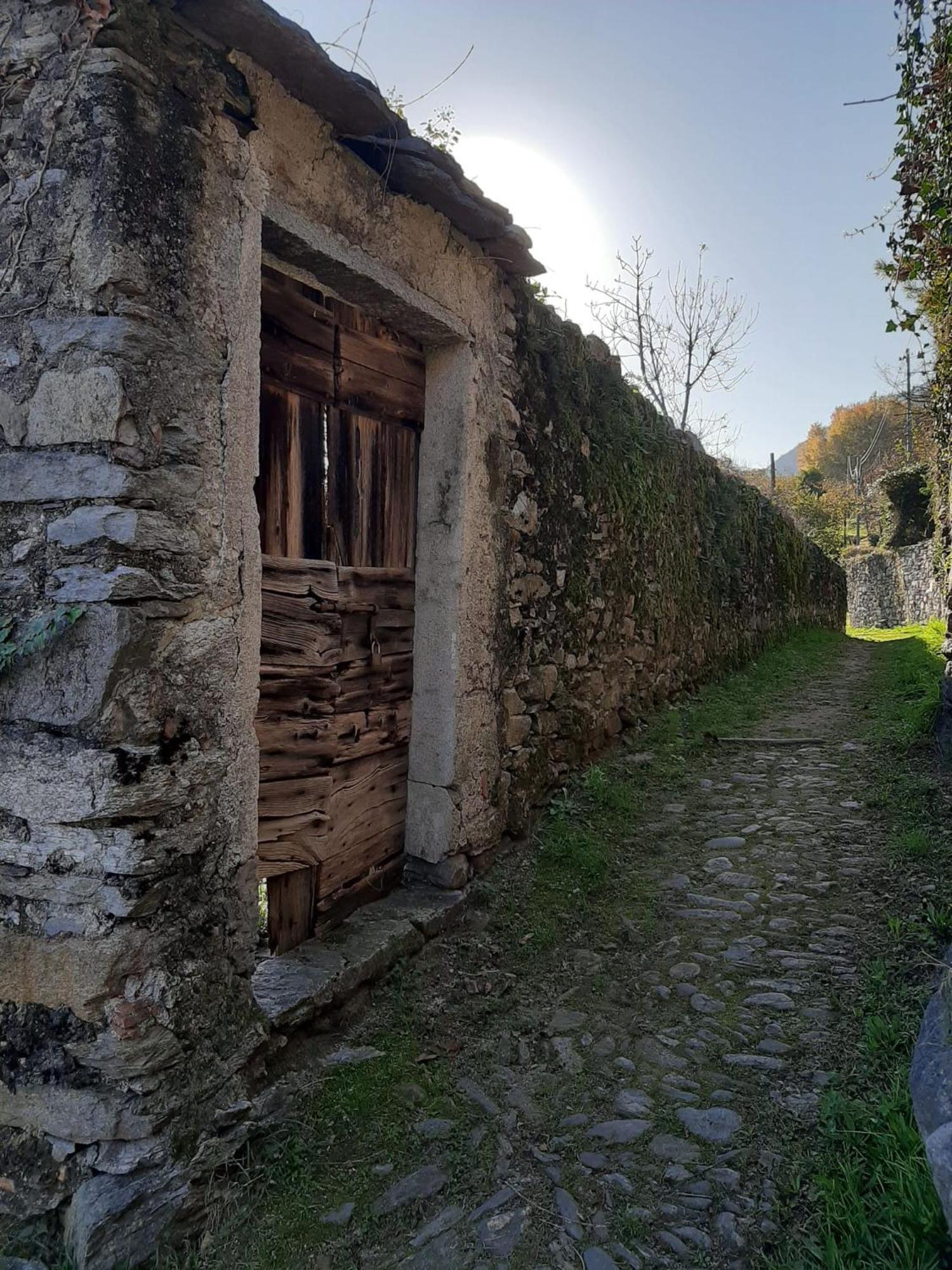 Residenza Le Camelie Apartment Oggebbio Bagian luar foto